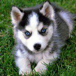 Amber Hewett Thacker - @amberthacker.at - Instagram
