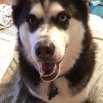 Amber Thacker - @ambert4697 - Instagram