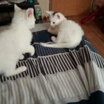 Amber Thomason - @amberthomason801 - Instagram