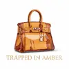 trappedamber - @trappedamber - TikTok