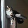 Amber Travis - @ambertravis287 - TikTok