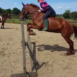Amber triggs - @plinto.account - Instagram