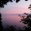 ambertrimbs - @ambertrimbs - TikTok