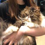 Amber Tsang - @amber._.tsang - Instagram