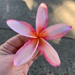 Amber Tuller - @amberjilltuller - Instagram