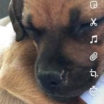 Amber Turnbaugh - @am.ber4393 - Instagram