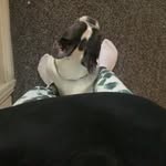 Amber - @amber.taylor.tweedy - Instagram