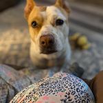Amber Twigg - @twigg.amber - Instagram