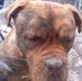 Amber Tyrrell - Facebook