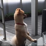 Amber+Herald - @amber_herad - Instagram