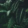amberulrich903 - @amberulrich903 - TikTok