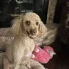Amber - @amberurbansteely - TikTok