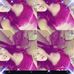 Amber Urena - Facebook