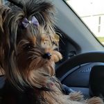Keyla Zans - @amber_valentina_zans - Instagram