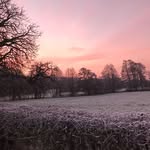 Noz - @ambervalleyderbyshire - Instagram