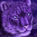 Amber Vallier - Facebook