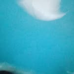Amber Velazquez - @ambervelazquez84 - Instagram