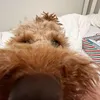 amber - @aambervu - TikTok