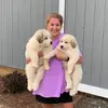 Amber Wall - @amberwall8 - TikTok