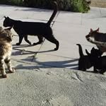 Amber Wall - @prettyamber2007 - Instagram