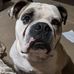 Amber Waugh - Facebook