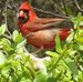 Amber Weldy - Facebook