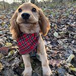 Amber - @amberwellington313 - Instagram