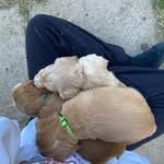 amber 😣 - @amberwestermannn - Instagram