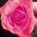 Amber Westover - Facebook