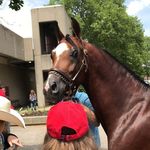 Amber whaley - @psta.amber - Instagram