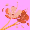 Amber whatley - @amber.whatley5 - TikTok