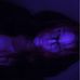 Amber Whited - Facebook