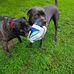 Amber Whiting - Facebook
