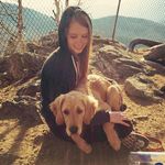Amber Whitten - @web_dragon - Instagram