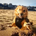 Amber Wickins - @amberwickins - Instagram