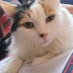 Amber Widener - @wideneramber89 - Instagram