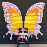 Amber Widman - @amberwidman - Instagram