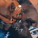 Amber Willis - @outsidemomamber - Instagram