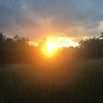 Amber - @amber.willoughby10 - Instagram
