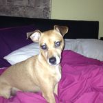 Amber Ann Willoughby - @willoughbyamber12345 - Instagram