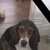 Amber Willoughby - Facebook