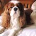 Amber Withers - Facebook