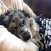 Amber Witmer - Facebook