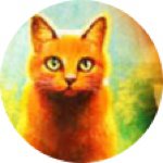 Amber Yost - @firestar2121 - Instagram