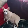 amberlybrown142 - @amberlybrown142 - TikTok