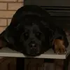 Ambika.Sharma - @ambika.sharma6 - TikTok