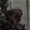 a.hawksley - @a.hawksley - TikTok