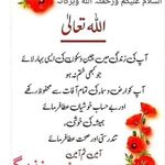 Ambreen Baig - @ambreen.baig.50 - Instagram