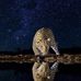 Ambrose Evans - Facebook