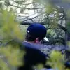 Ambrose Hill - @ambrose_h1ll - TikTok